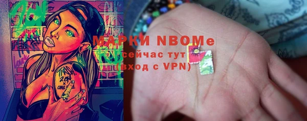 гидра Гусиноозёрск