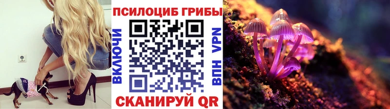 Псилоцибиновые грибы мухоморы  закладка  Великие Луки 