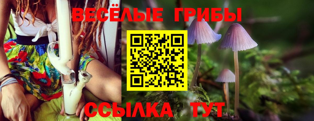 Псилоцибиновые грибы Magic Shrooms Великие Луки
