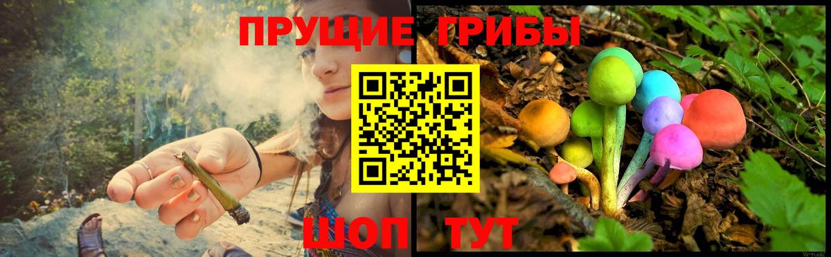 Галлюциногенные грибы прущие грибы  Вход с VPN  Псилоцибиновые грибы прущие грибы  Великие Луки 